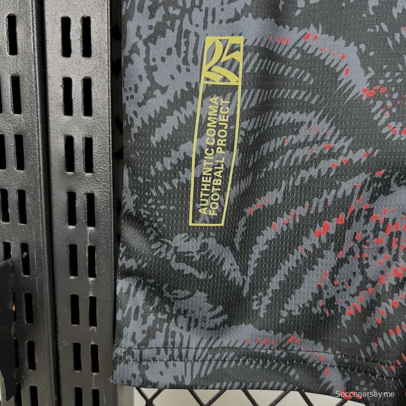 2025/26 باريس سان جيرمان (CAMPEONES DE EUROPA) قميص رمادي