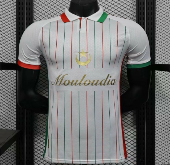 إصدار اللاعب 2025 قميص فلسطين 2025 أبيض مع قميص مقلم باللونين الأحمر والأخضر
